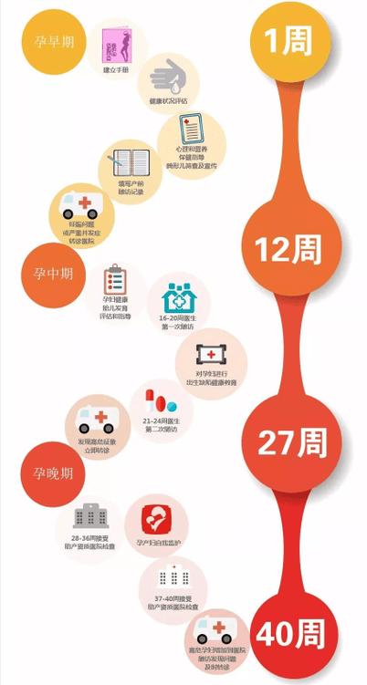 国家基本公共卫生项目之孕产妇健康管理服务